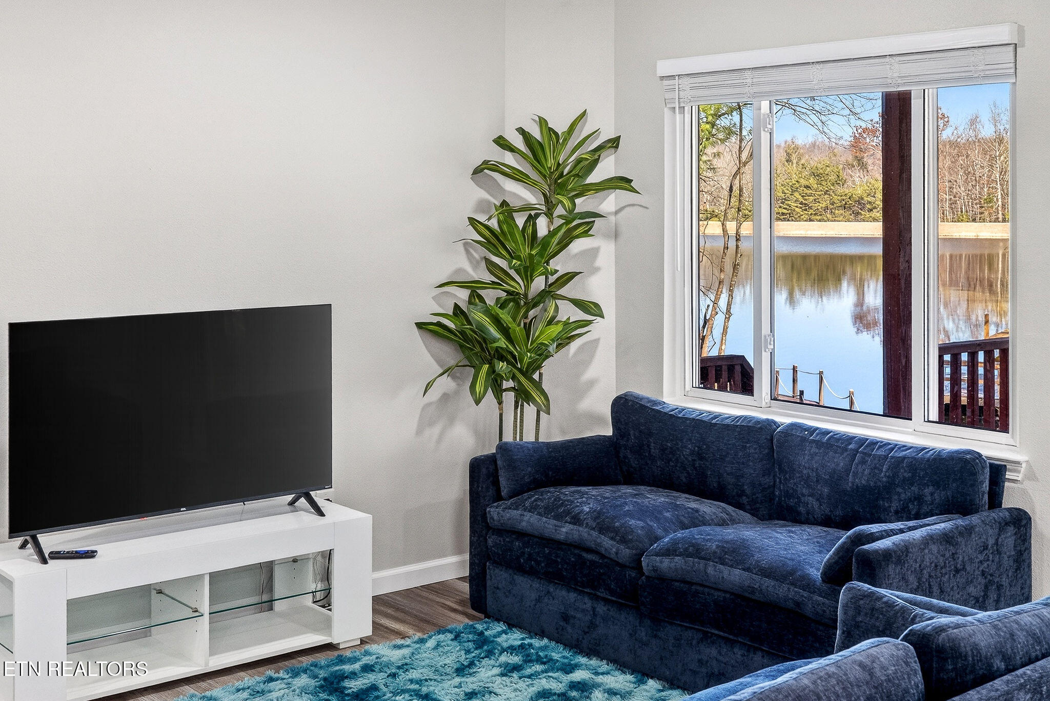 16 Pomeroy Court Crossville, TN 38558 - Photo 11 of 60 029_DSC01934