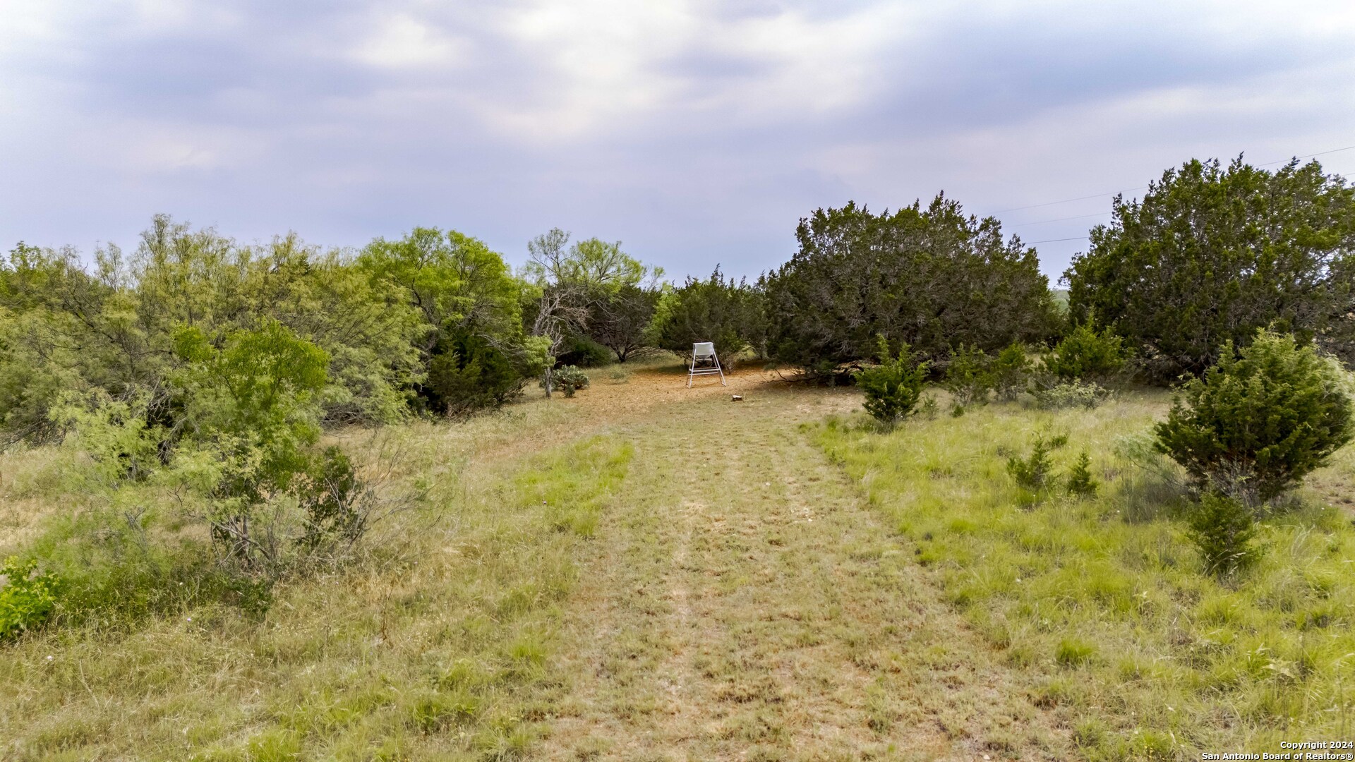 106 Homilius Road Comfort, TX 78013 - Photo 32 of 45 a view of a yard with a house