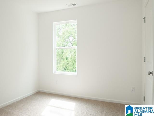 212 Leonards Court Calera, AL 35040 - Photo 24 of 26