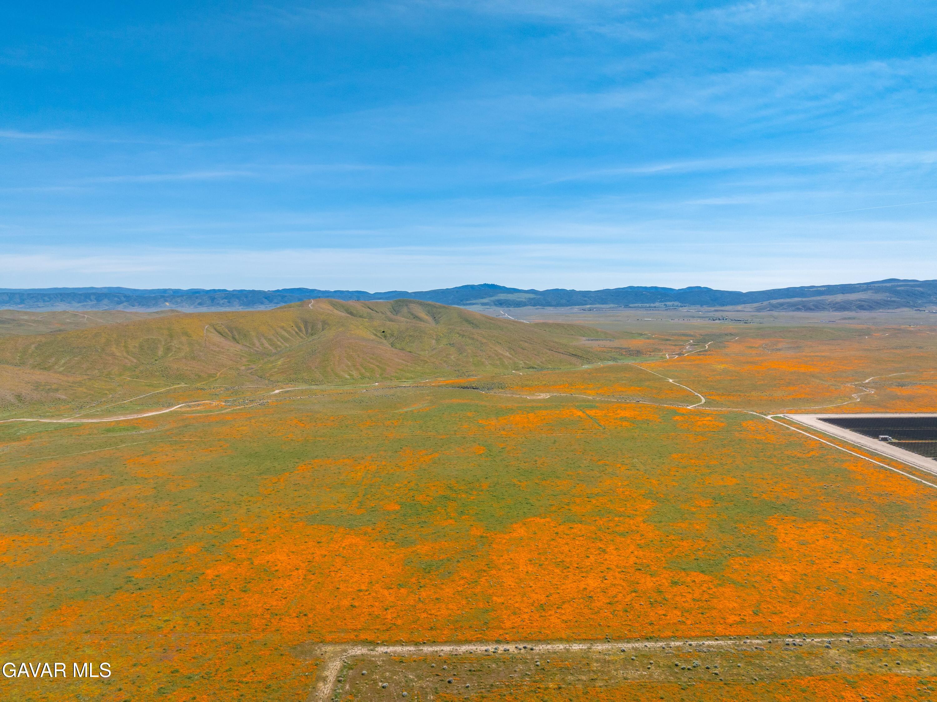 46472 Kings Canyon Road Lancaster, CA 93536 - Photo 41 of 46 AV Poppies Spring 2026