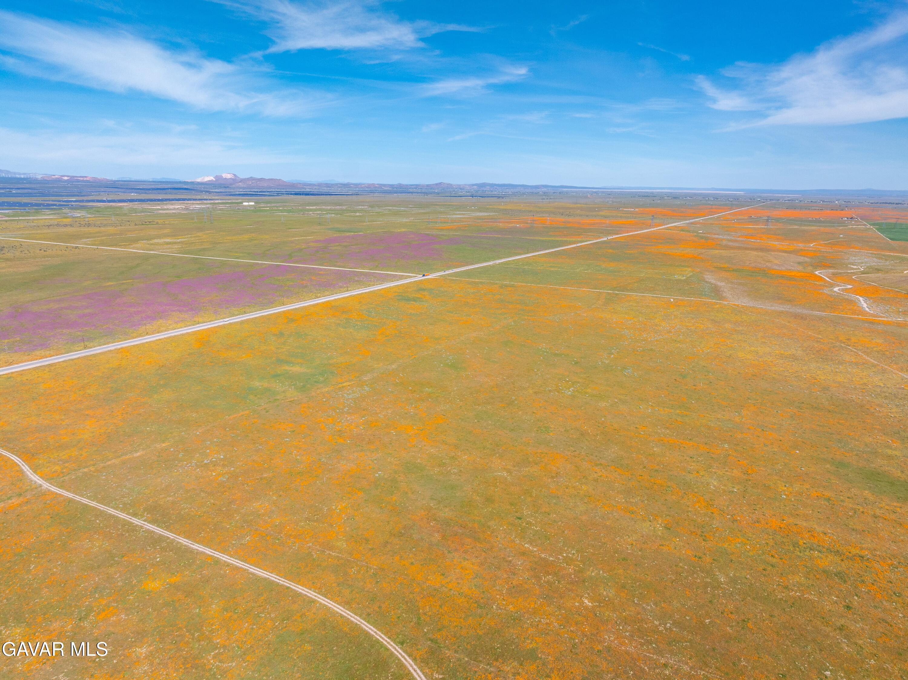46472 Kings Canyon Road Lancaster, CA 93536 - Photo 43 of 46 AV Poppies Spring 2026