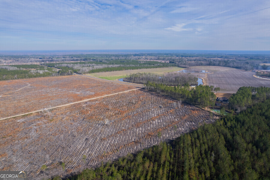 6 Morris Break Road Odum, GA 31555 - Photo 12 of 16 an aerial view of a beach