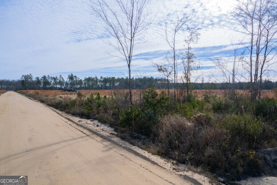 6 Morris Break Road Odum, GA 31555 - Photo 14 of 16 a view of a pathway both side of grassy field with trees