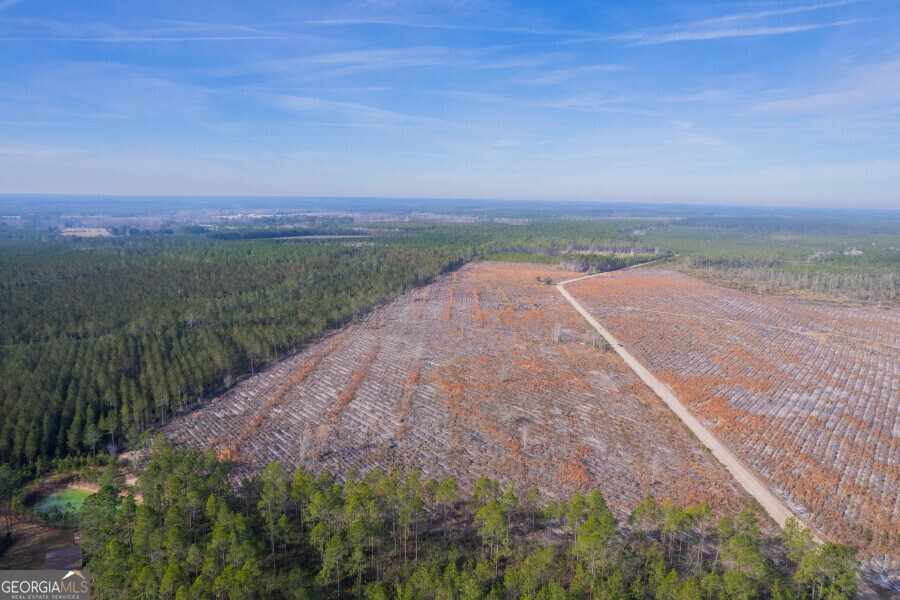 6 Morris Break Road Odum, GA 31555 - Photo 2 of 16 a view of a pathway both side of grassy field with shrub