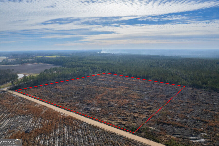 6 Morris Break Road Odum, GA 31555 - Photo 5 of 16 a view of a backyard of the house