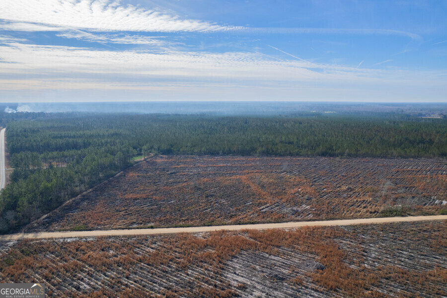 6 Morris Break Road Odum, GA 31555 - Photo 8 of 16 a view of a yard with an ocean beach