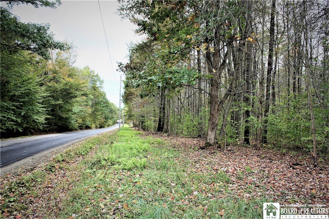 0 Wolcott Road Kennedy, NY 14747 - Photo 1 of 1