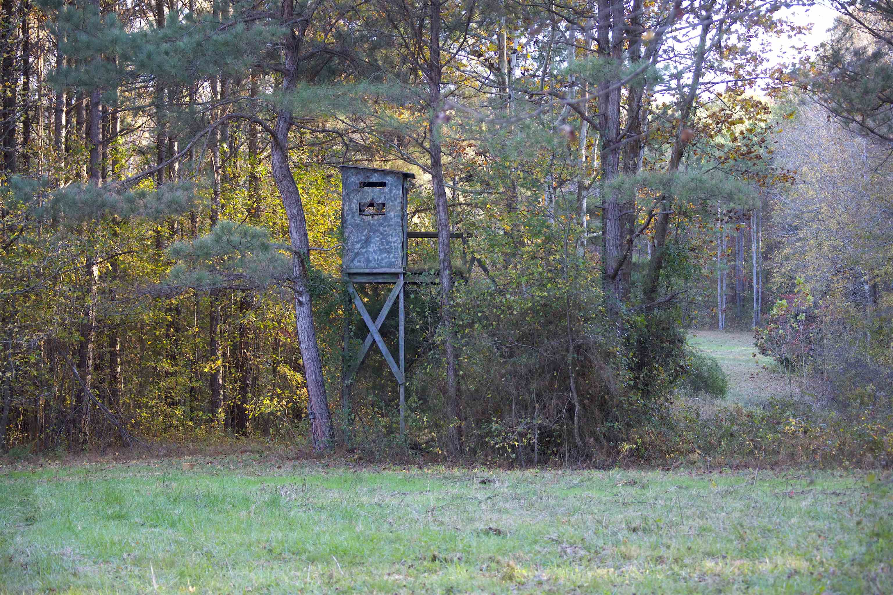 2255 Cr 105 Road Walnut, MS 38683 - Photo 16 of 31 a backyard of a house with lots of green space