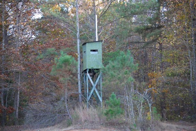 a green field with trees in the background
