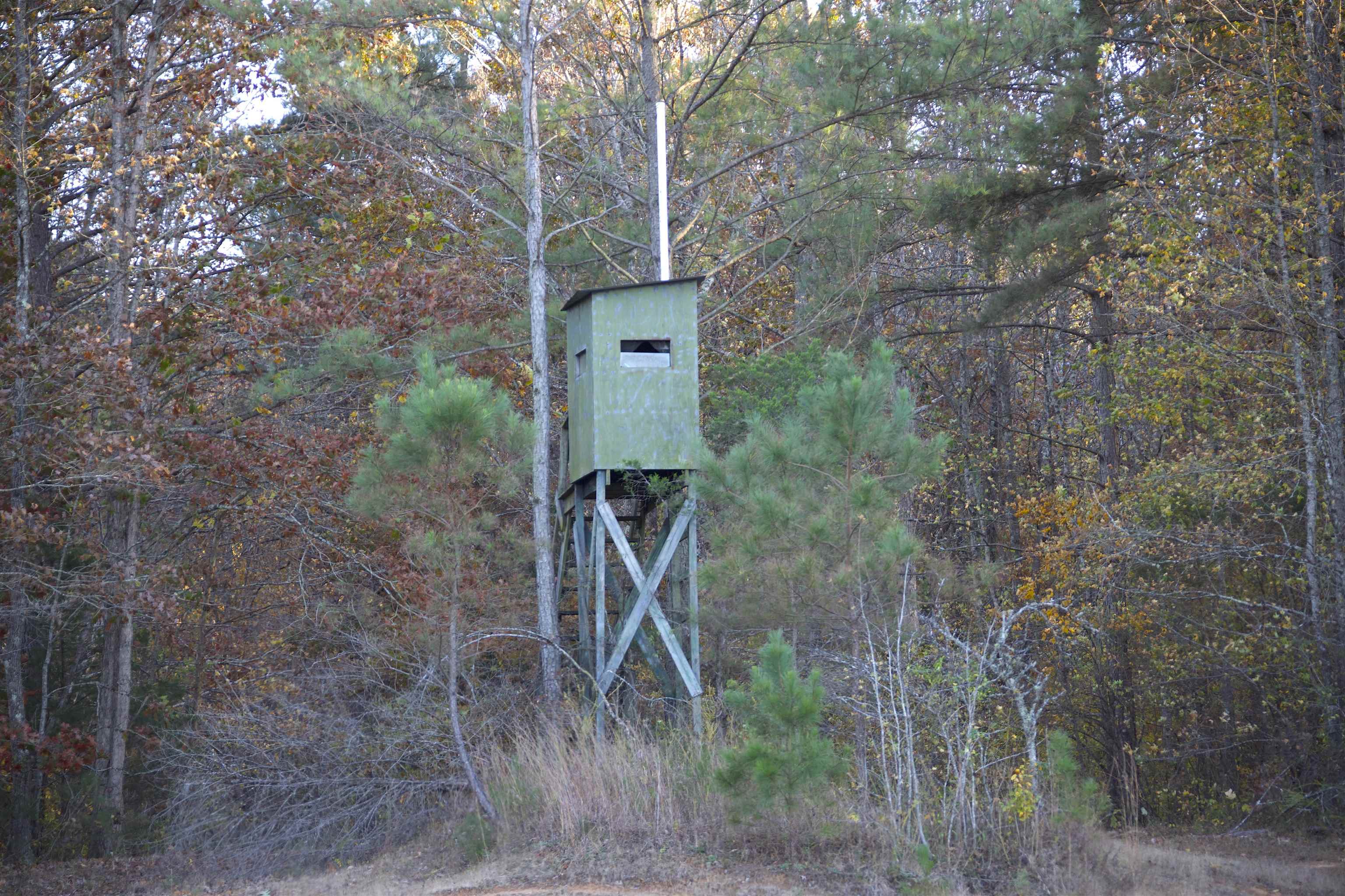 2255 Cr 105 Road Walnut, MS 38683 - Photo 18 of 31 a green field with trees in the background