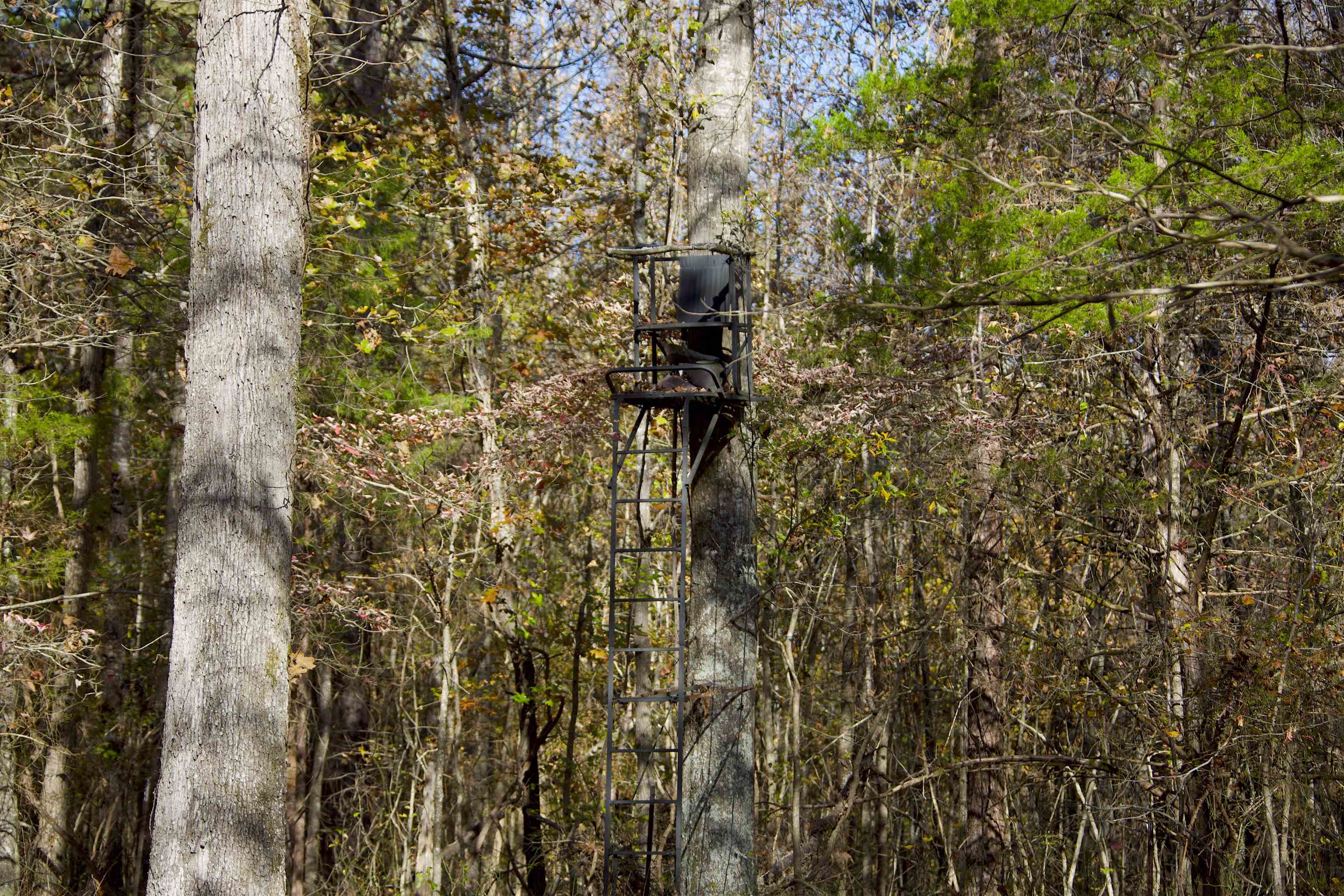 2255 Cr 105 Road Walnut, MS 38683 - Photo 19 of 31 a view of entryway with wooden wall