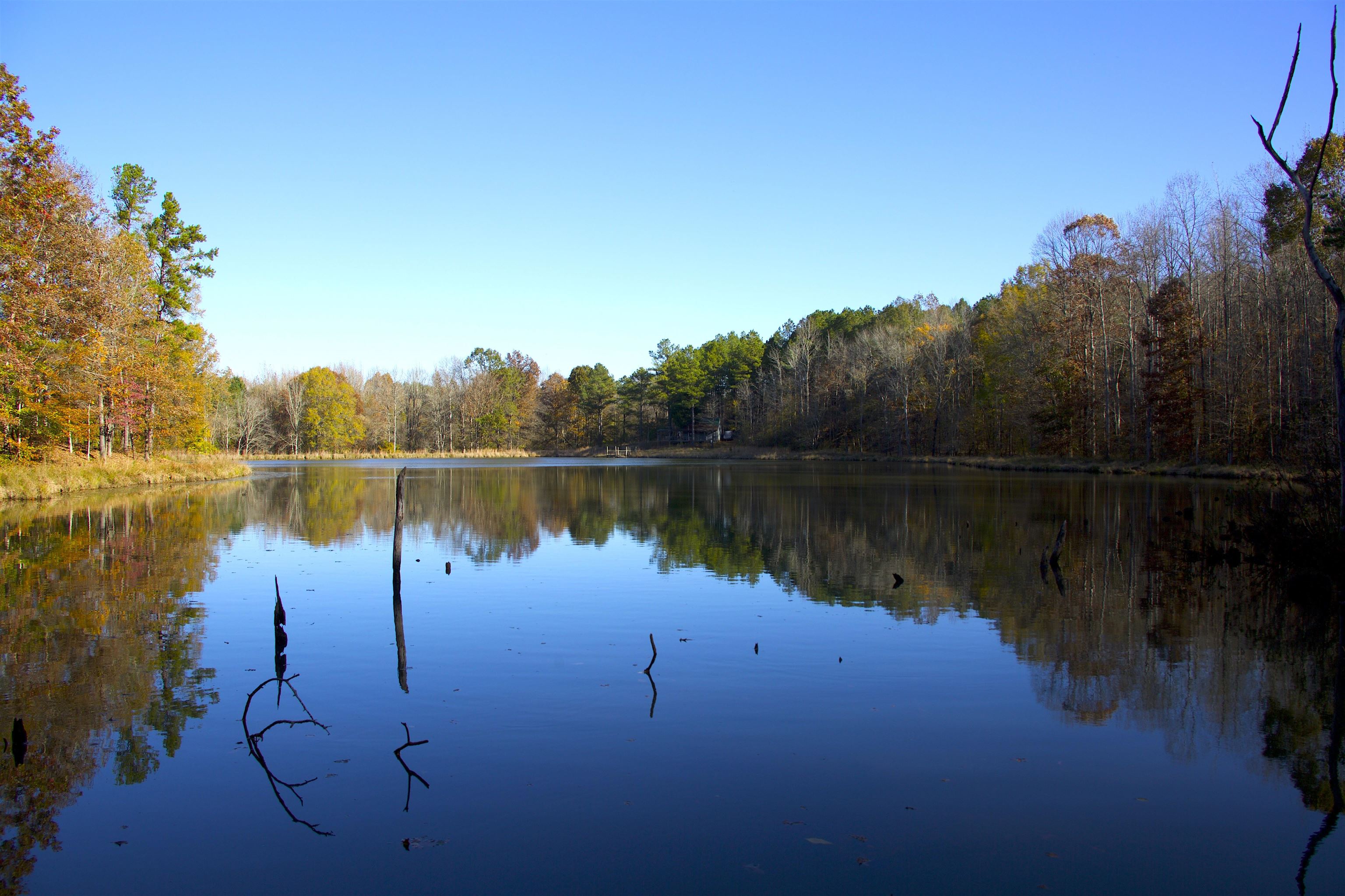 2255 Cr 105 Road Walnut, MS 38683 - Photo 8 of 31 a view of a lake