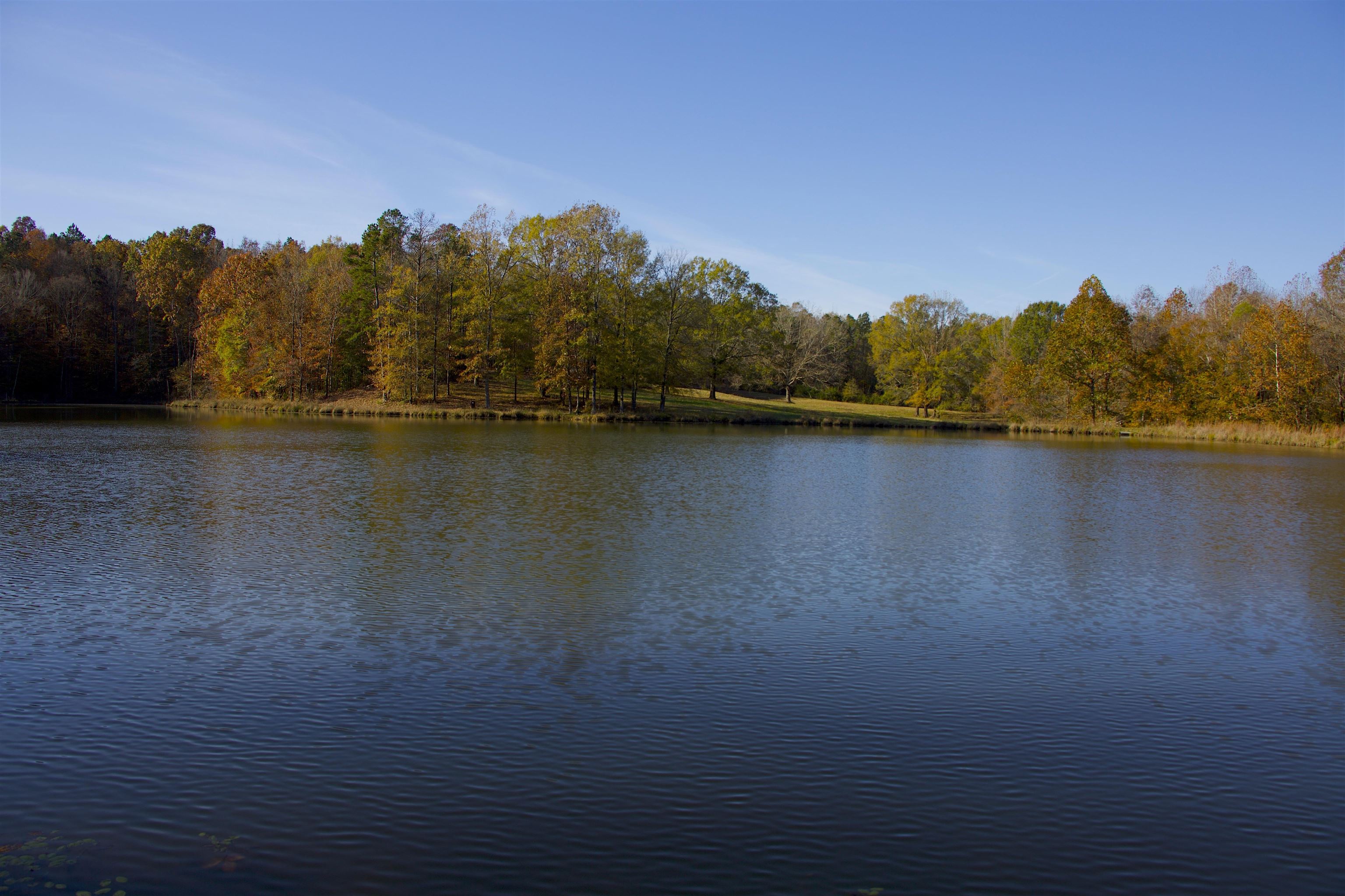 2255 Cr 105 Road Walnut, MS 38683 - Photo 10 of 31 a view of lake and mountain