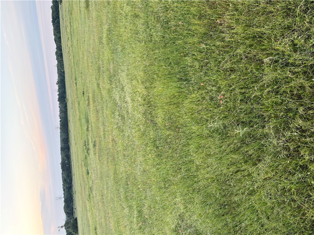 a view of an ocean and beach