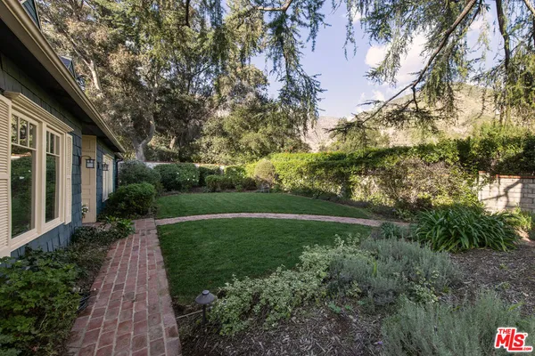 a view of a garden with plants and large trees