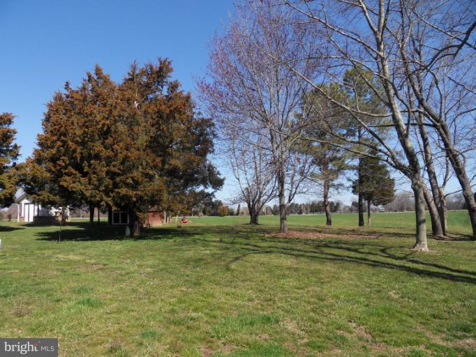 11026 George Street Lusby, MD 20657 - Photo 18 of 20 a view of a park with large trees