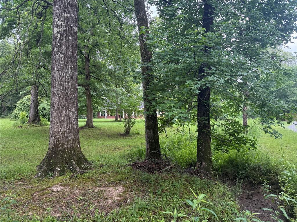 145 Q Stockman Road Deville, LA 71328 - Photo 27 of 32