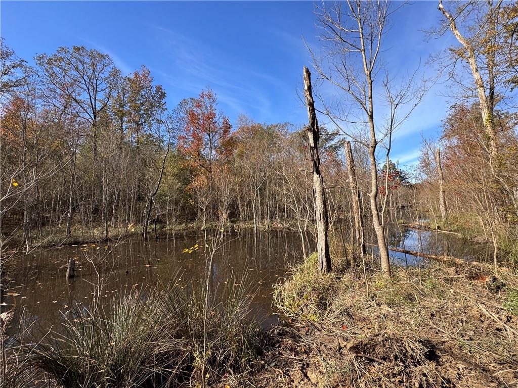 145 Q Stockman Road Deville, LA 71328 - Photo 29 of 32