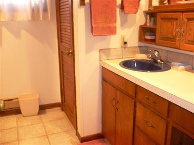 20849 Decatur Street Cassopolis, MI 49031 - Photo 8 of 16 Additional Photo