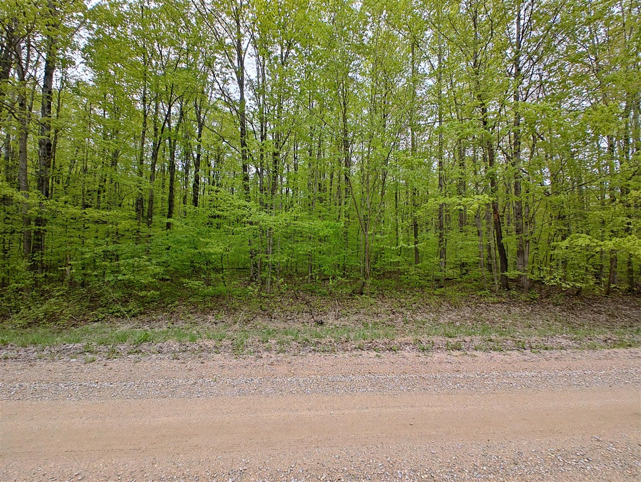 Vl Covert Road Northeast Mancelona, MI 49659 - Photo 3 of 22
