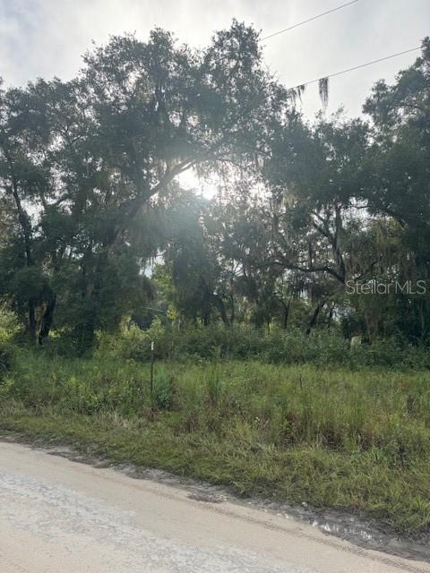 104 Floradandy Road Hawthorne, FL 32640 - Photo 7 of 9