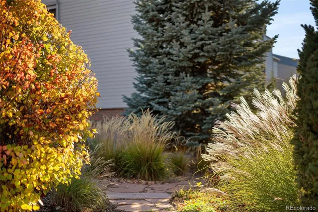 a view of a building with a yard