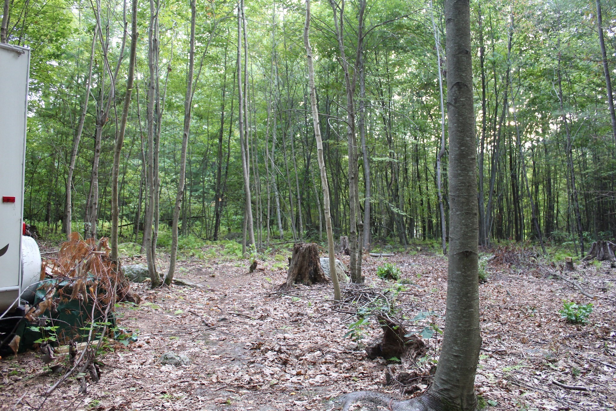 Lot 40 Osborne Road Ware, MA 01082 - Photo 2 of 9 Gallery Image 2