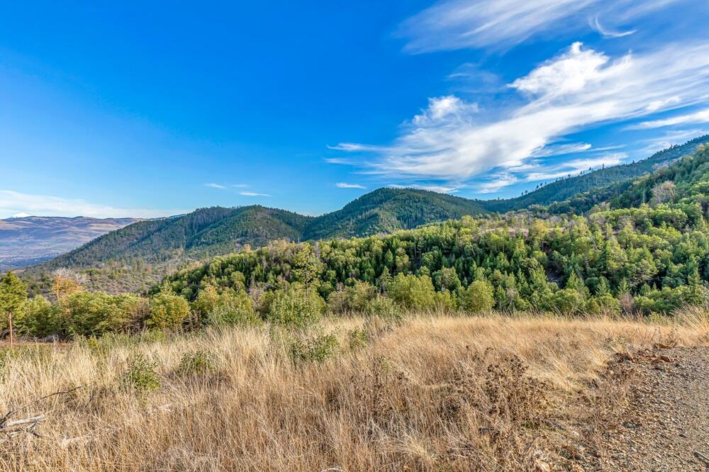 Griffin Creek Road Medford, OR 97501 - Photo 8 of 18 9R9A4181