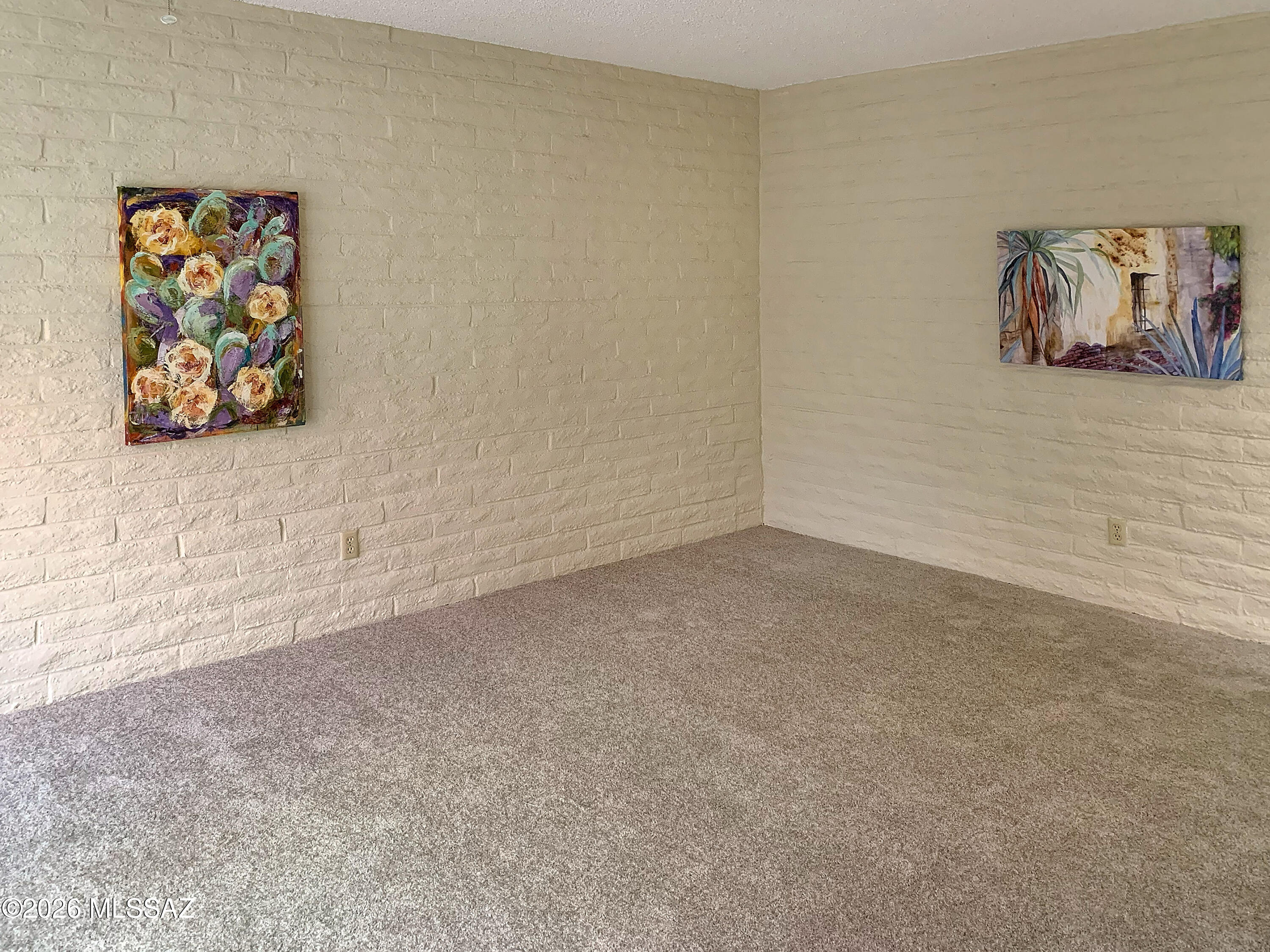 719 West Las Lomitas Road Tucson, AZ 85704 - Photo 23 of 44 a view of painting on the wall