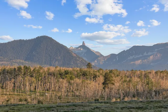 $3,500,000 | 4234 Brown Ranch Road, Ridgway, CO 81432