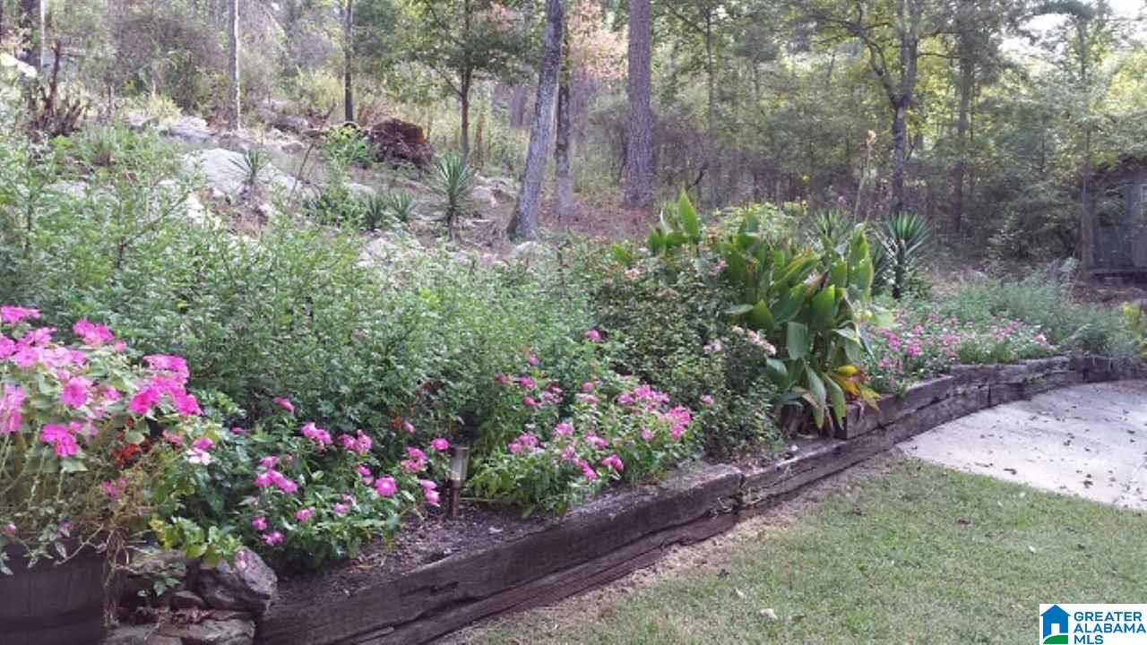 306 Cannon Ball Road Jacksonville, AL 36265 - Photo 5 of 25