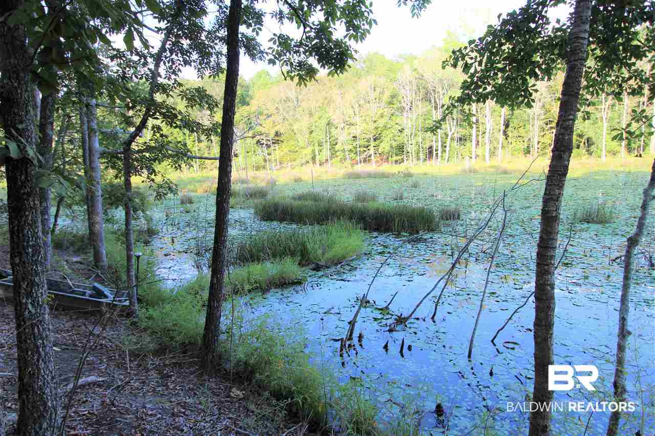 794 Dry Lake Road Luverne, AL 36049 - Photo 27 of 48 Adjoining Lake