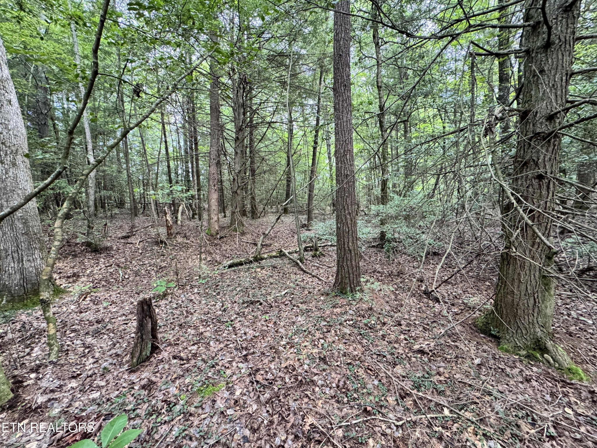 0 Banner Springs Road Jamestown, TN 38556 - Photo 1 of 36