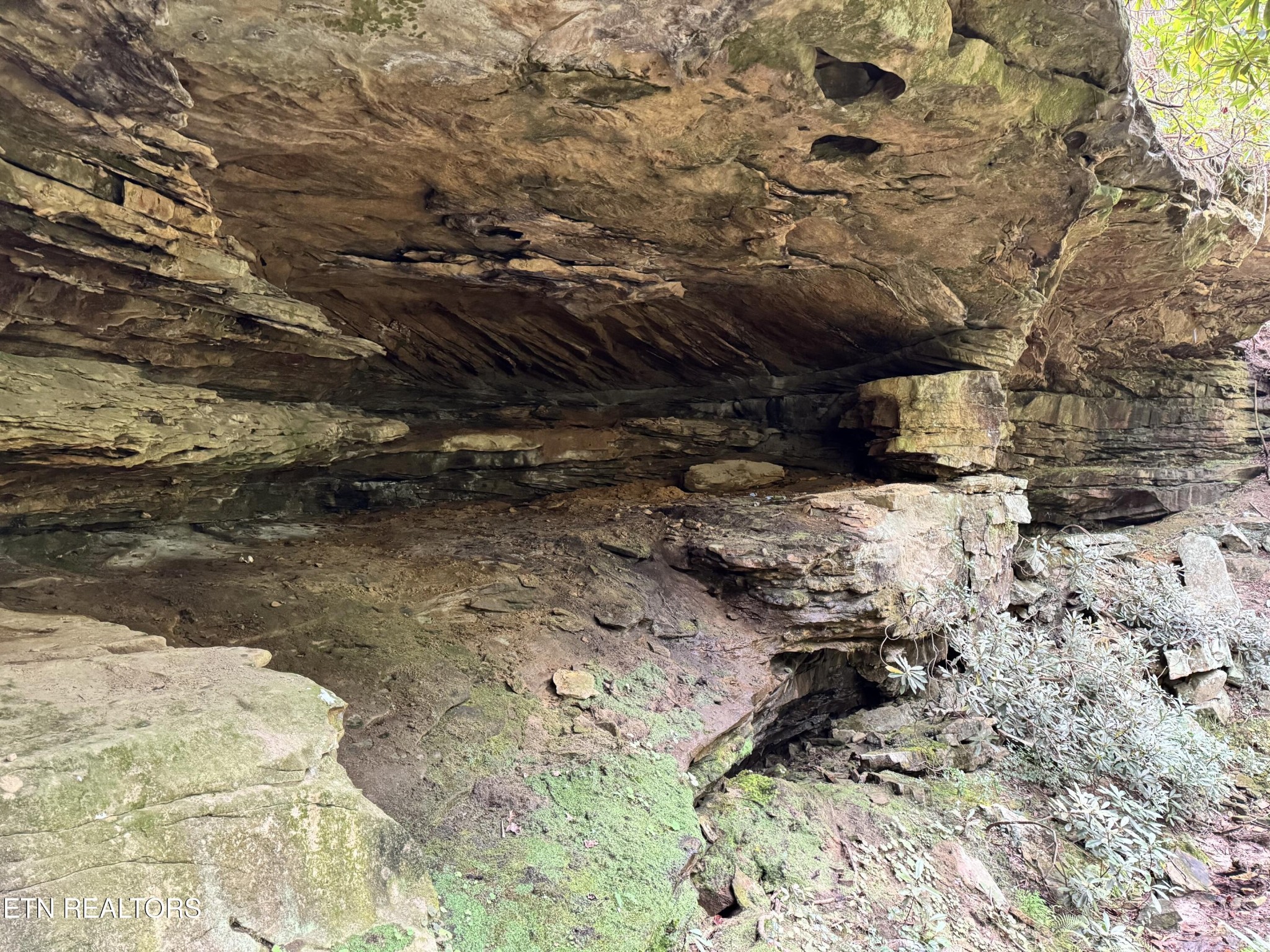 0 Banner Springs Road Jamestown, TN 38556 - Photo 13 of 36