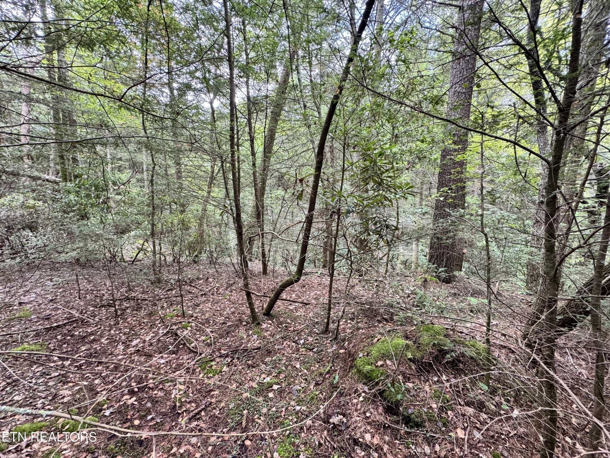 0 Banner Springs Road Jamestown, TN 38556 - Photo 20 of 36