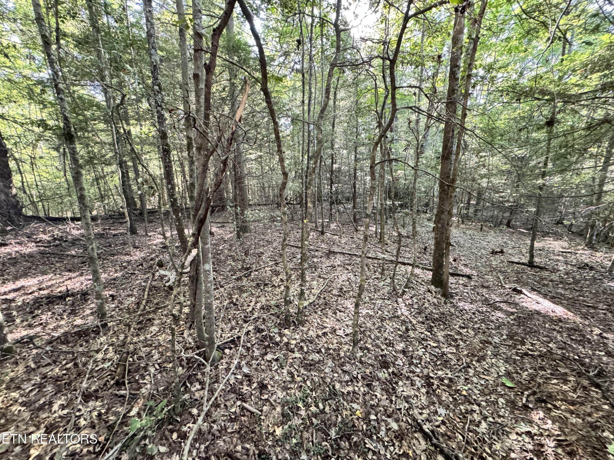 0 Banner Springs Road Jamestown, TN 38556 - Photo 3 of 36