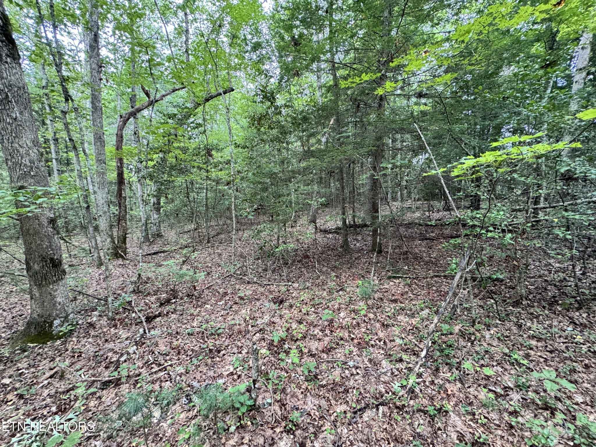 0 Banner Springs Road Jamestown, TN 38556 - Photo 4 of 36