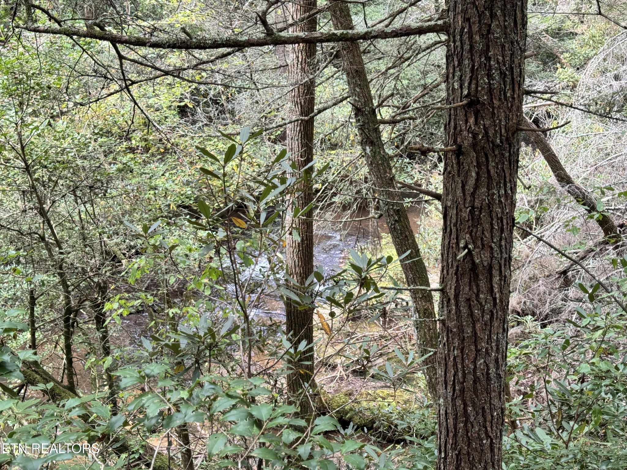 0 Banner Springs Road Jamestown, TN 38556 - Photo 6 of 36