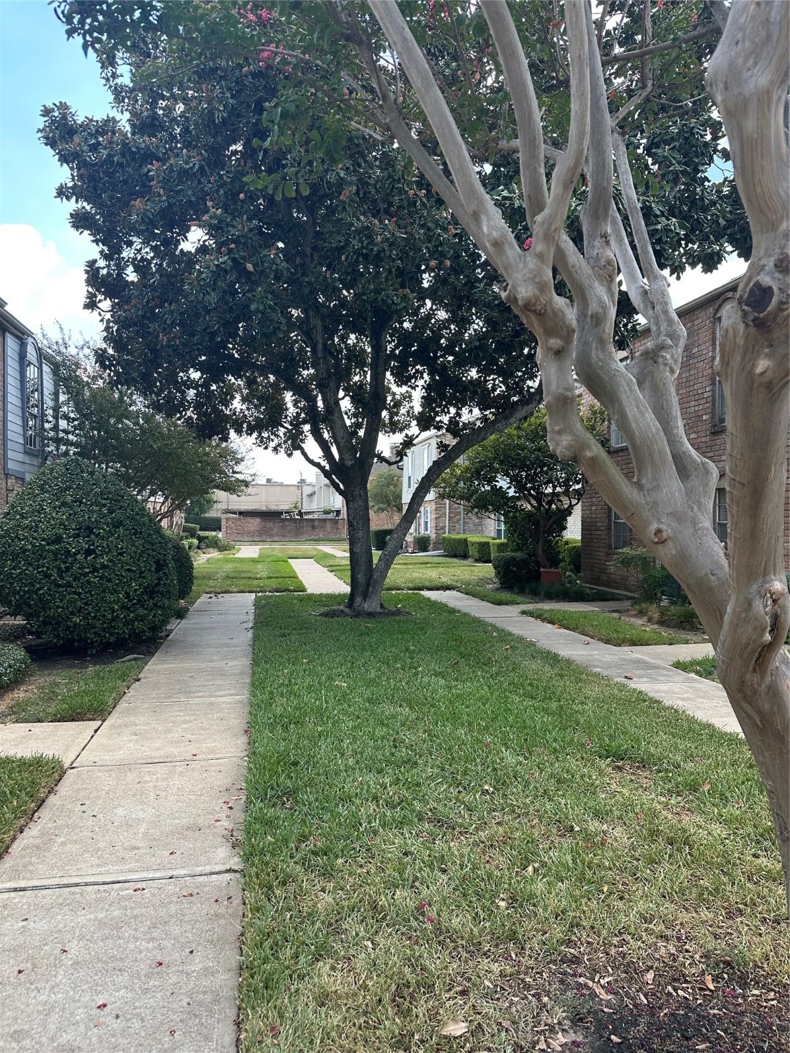 14663 Perthshire Road, Unit 14663 Houston, TX 77079 - Photo 35 of 35 a view of a yard with plants and trees