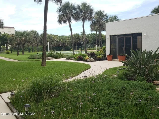 a view of a backyard with palm trees