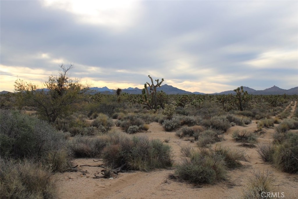 0 Cedar Canyon Road Essex, CA 92332 - Photo 4 of 6 a view of a city with lush green forest