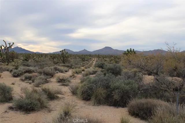 a view of a town with mountains in the background