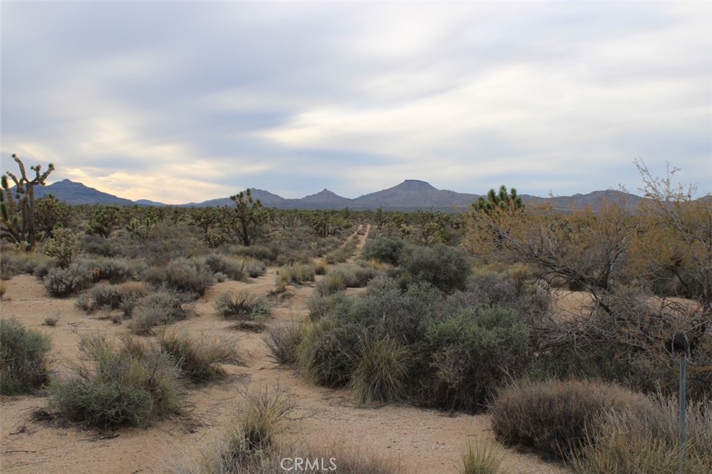 0 Cedar Canyon Road Essex, CA 92332 - Photo 5 of 6 a view of a town with mountains in the background