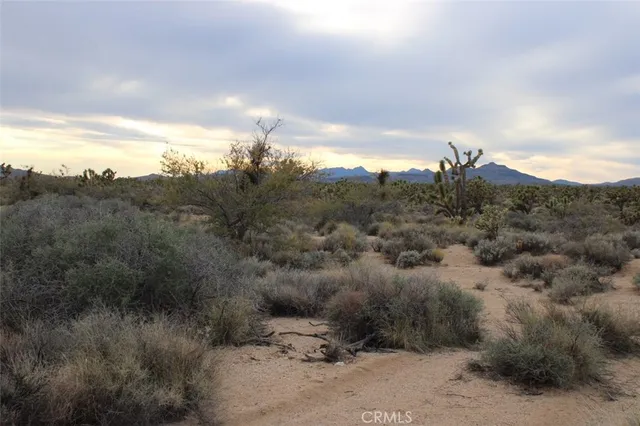 $20,000 | 0 Cedar Canyon Road, Essex, CA 92332