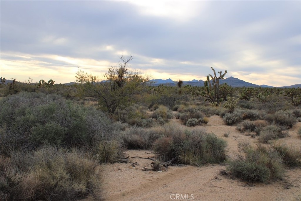 0 Cedar Canyon Road Essex, CA 92332 - Photo 6 of 6