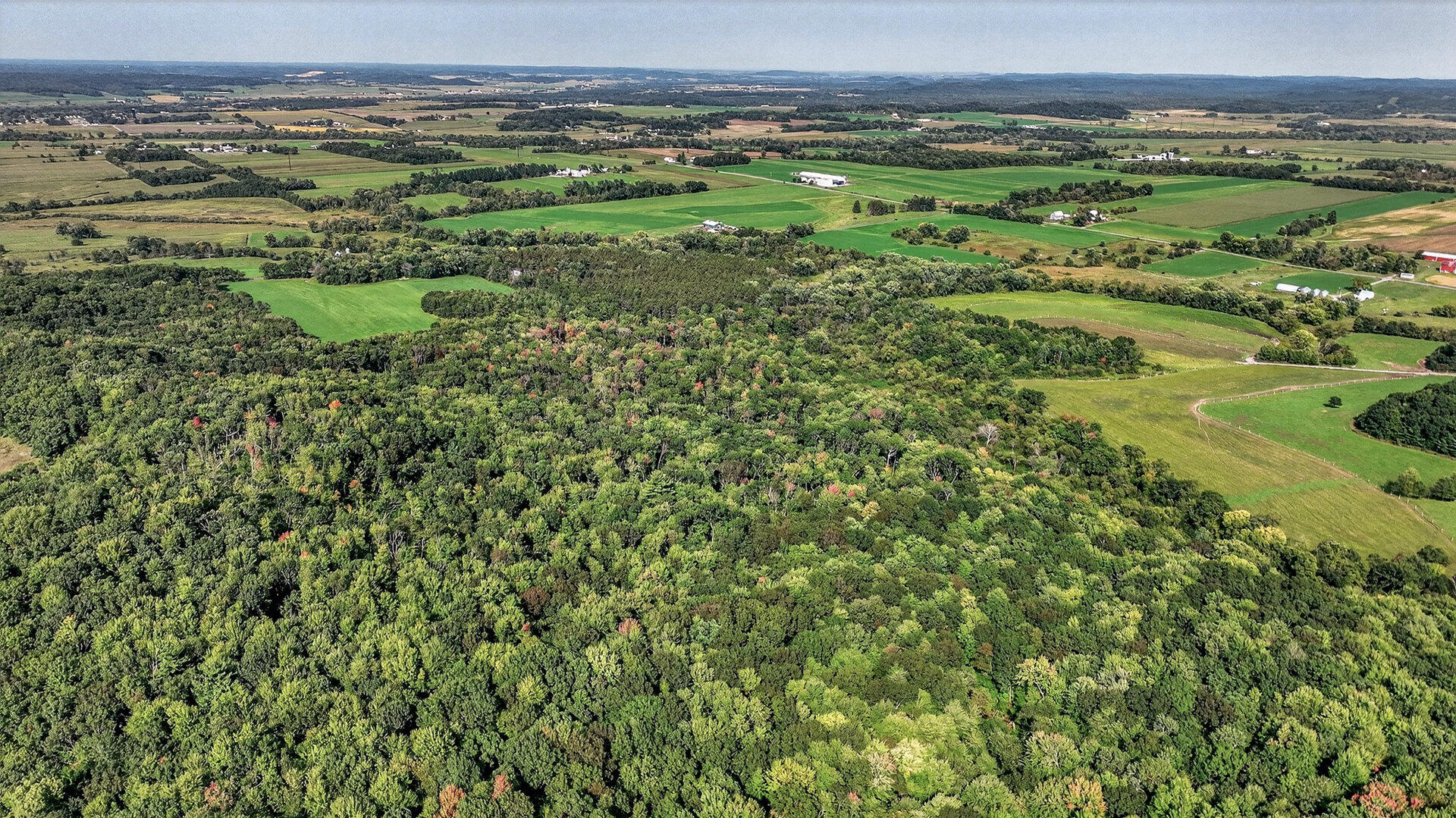 W15971 Cedar Road Springfield, WI 54659 - Photo 31 of 41 033_007_dji_0591_347