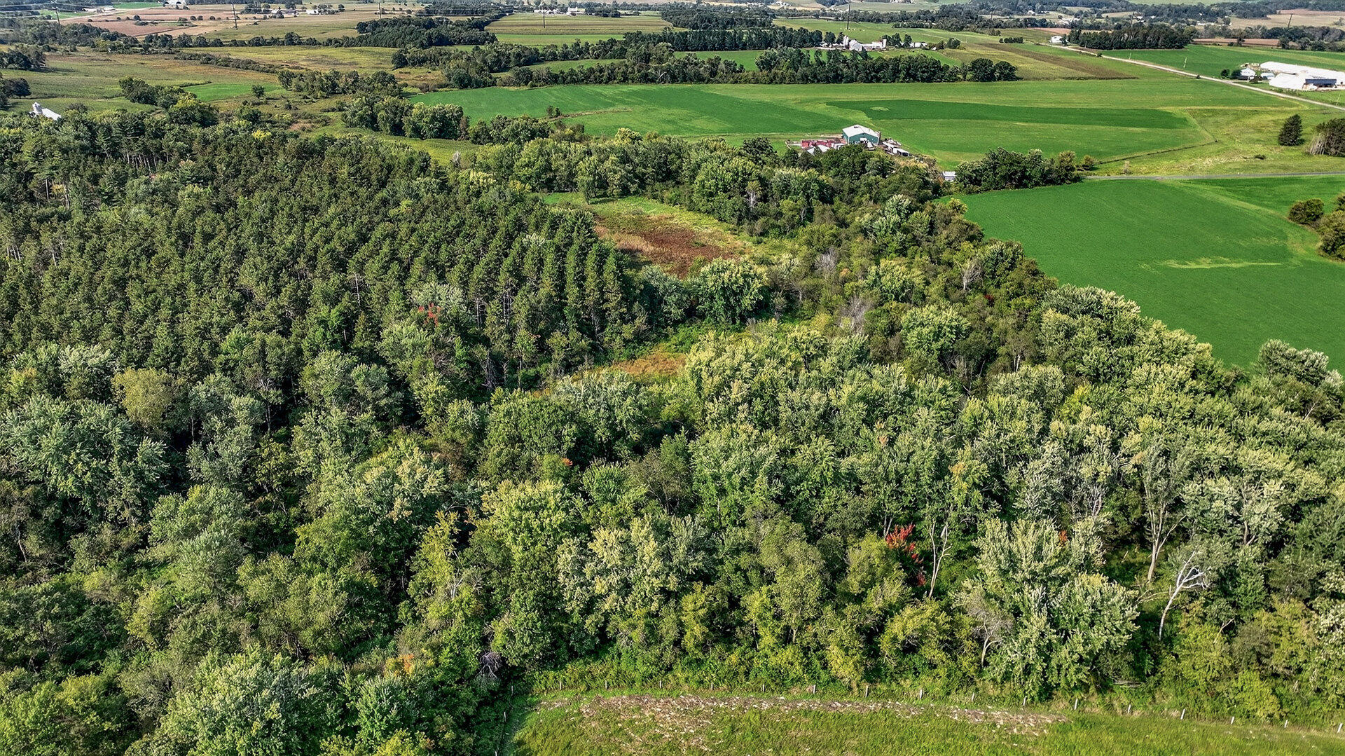 W15971 Cedar Road Springfield, WI 54659 - Photo 32 of 41 035_009_dji_0612_83