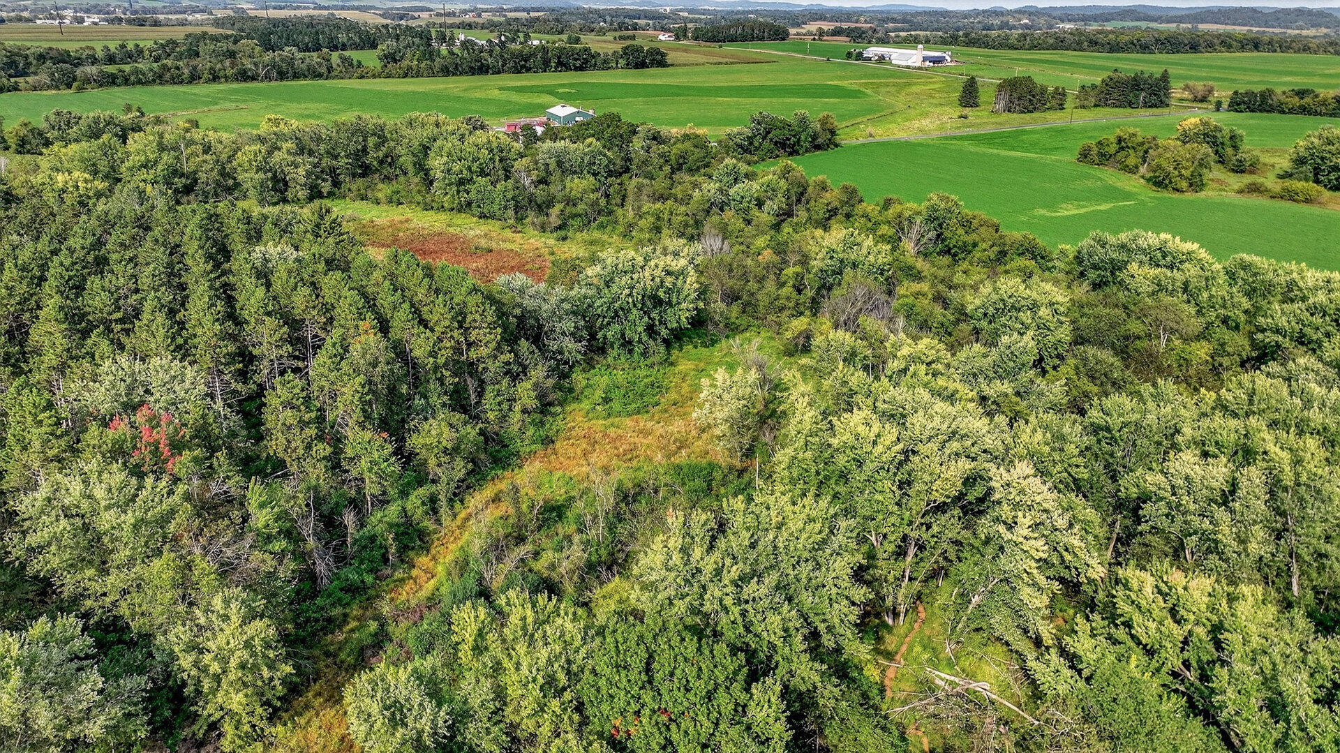 W15971 Cedar Road Springfield, WI 54659 - Photo 34 of 41 037_011_dji_0621_608