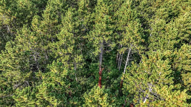 $720,000 | W15971 Cedar Road, Springfield, WI 54659