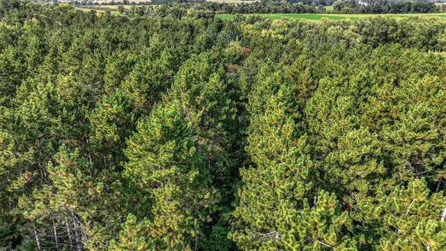 $720,000 | W15971 Cedar Road, Springfield, WI 54659